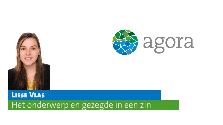 Het onderwerp en gezegde in een zin