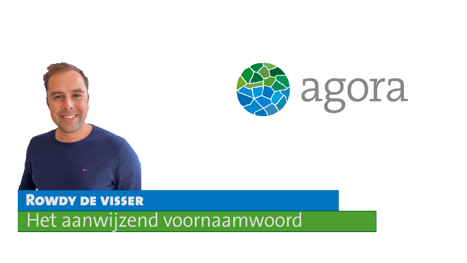 Aanwijzend voornaamwoord