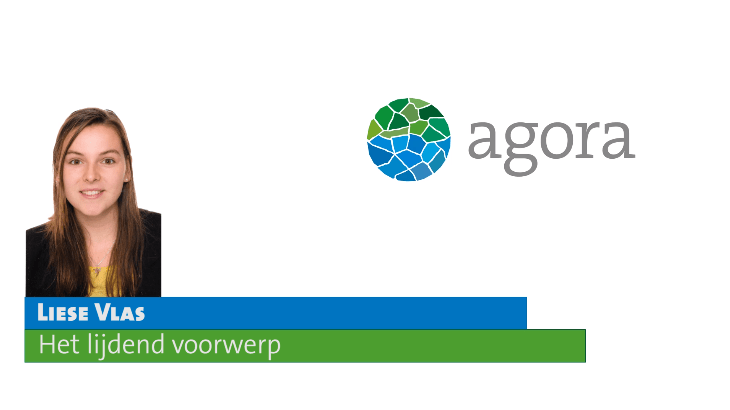 Het lijdend voorwerp